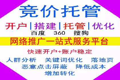 SEM托管服务成功案例背后的故事